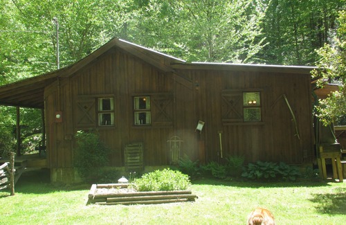 Robbinsville Cabin | Gorgeous Rustic Cabin