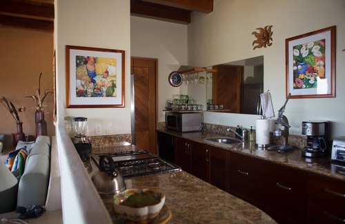 Ixtapa - Zihuatanejo Condo | Gorgeous View of LaRopa Beach