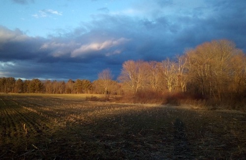 Acton House | Gorgeous views, remodeled farm house, Monthly, $3300. Mo. plas tax and fees