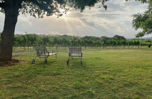 Round Mountain House | Gorgeous Vineyard Home in the middle of the Vines!