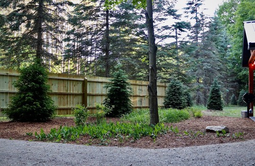 Thompsonville Cabin | Gorgeous, Vintage, Crystal Mt Tiny Home