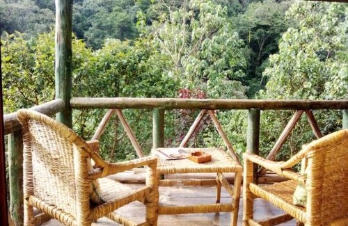 Bwindi Bed & Breakfast | Gorilla Hills Eco-lodge