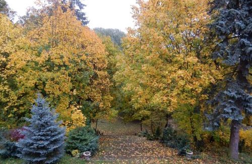 gmina Lubanie House | Gospodarstwo Agroturystyczne Dworek Janowicki