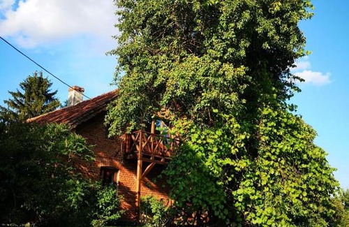 Szeligi House | Gospodarstwo Agroturystyczne "Dom na kolonii"