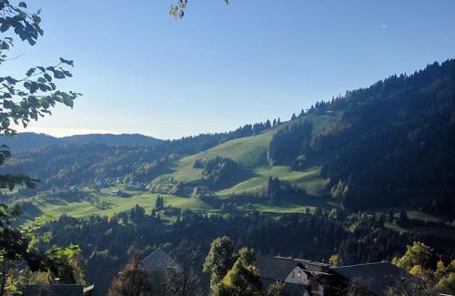 Cetena Ravan House | Gostišče in Penzion Stari Vrh