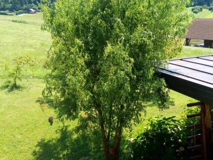 Grosuplje Hotel | Gostišče Lunca