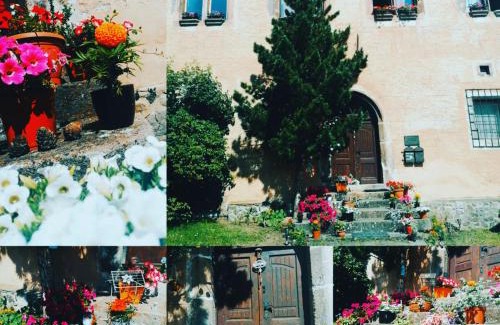 Kremnica Apartment | Gothic House Apartments