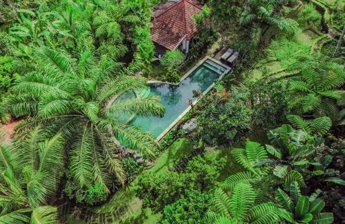 Taro Cabin | Govinda House
