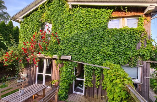 Franken Siedlung House | Grünes Sundchalet - Holiday home