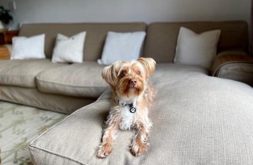 Berea Apartment | Grace by the Sea