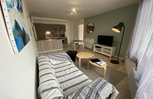 Fontaine Lestang Apartment | Graceful apartment in Toulouse