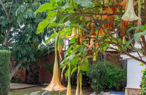 Torre de Benagalbon House | Gran Jardín frente al mar