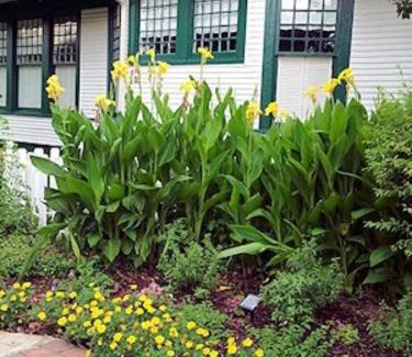 Granbury Bed & Breakfast | Granbury Gardens Bed and Breakfast