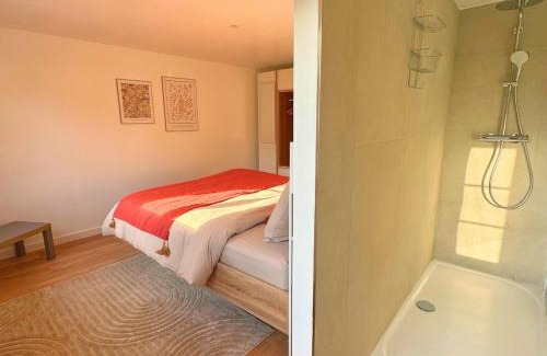 Steinbrunn-le-Bas Apartment | Grand appartement chaleureux