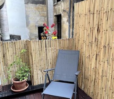 Hotel de Ville - Quinconces Apartment | Grand appartement central aéré avec terrasse