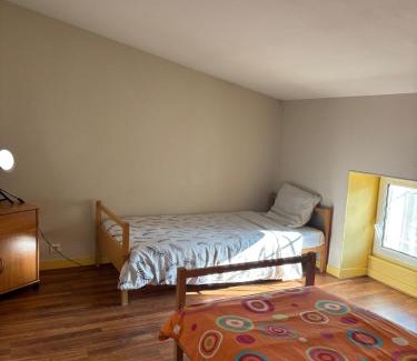 Chef-Boutonne Apartment | Grand appartement pour 4 à 5 personnes maximum