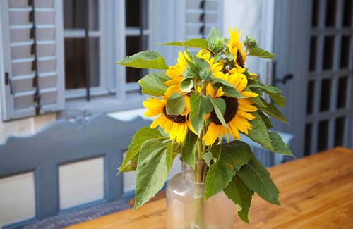 Kovagoors House | Grand Balaton House