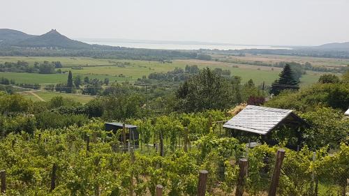 Hegymagas House | Grand Cru 4 Vendégház