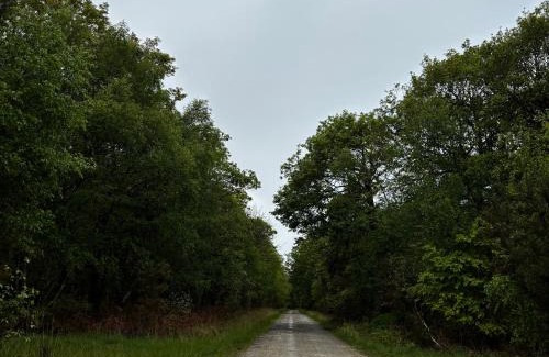 Ferce House | Grand gîte de caractère à la campagne
