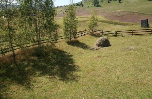 Zabljak House | Grand Rabbit House on the Hillock