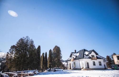 Vorokhta Villa | Grand Villla Skyta