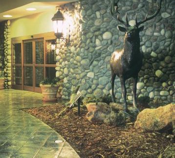 Grand Junction Hotel | Grand Vista Hotel Grand Junction