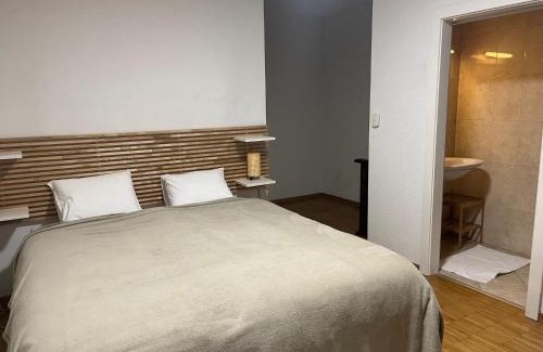 Lausanne House | Grande chambre avec Salle de Bains Privative