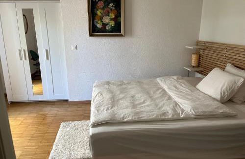 Lausanne House | Grande chambre avec Salle de Bains Privative