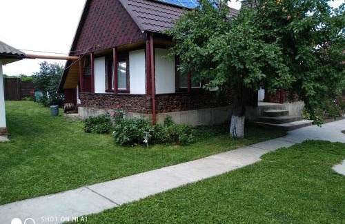 Miroslovesti House | Grandma's house/ Casa bunicii