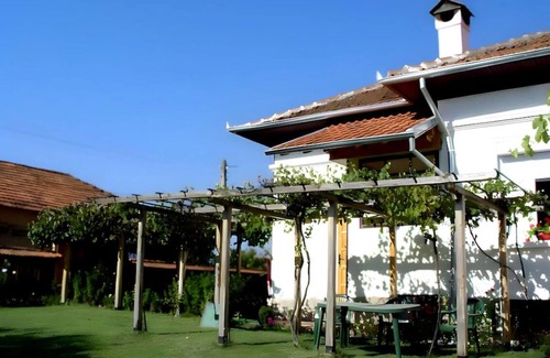 Elena House | Grandpa House