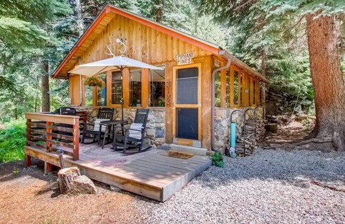 Idaho Springs Cabin | Granite · Epiphany Pines WATERFRONT work & play cabin