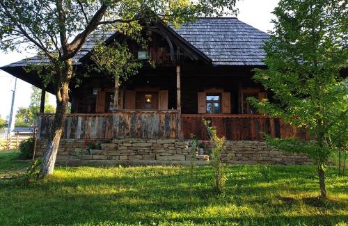 Moisei House | Granny's House