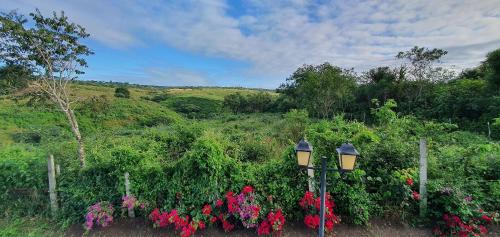 Novo Gravata Apartment | Gravatá sonho de estadia - 928