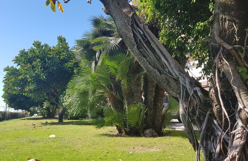 Vilassar de Mar Apartment | Great apartment on the beach, very close to Barcelona. First sea line