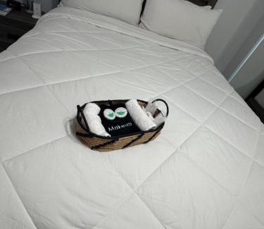 Seffner Community Alliance Apartment | Great apartment in Valrico