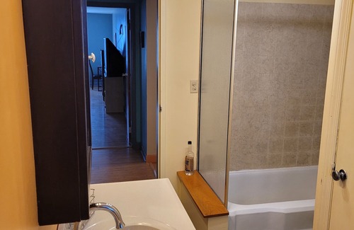 Irving Park East Apartment | Great Chicago getaway