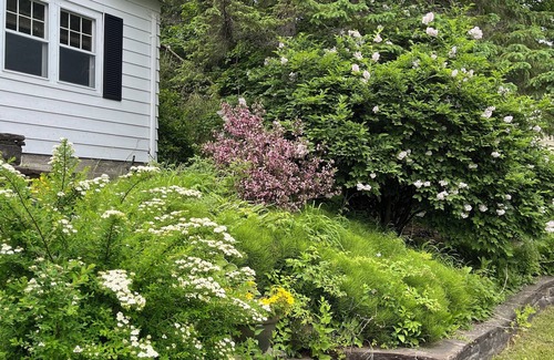 Port Sydney House | Great Family Property Between Huntsville and Bracebridge