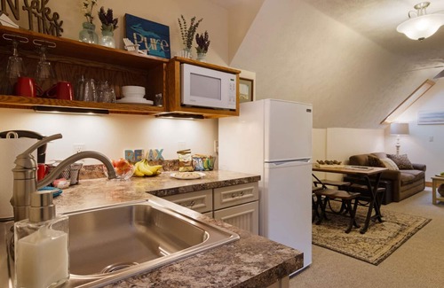 Traverse City Apartment | Great for Families - Northern Mitten Suites #3