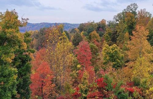 Ashland City House | GREAT Little Guest Suite with Private Entry & Deck! Pet Friendly & 30 Mins to Nashville!