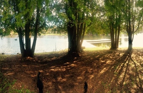 Port Carling Cottage | Great Location and Fun For Everyone!