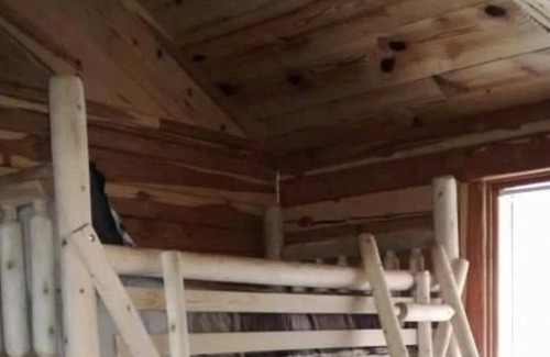 Newnata Cabin | Great Oaks Cabins, Cabin 1