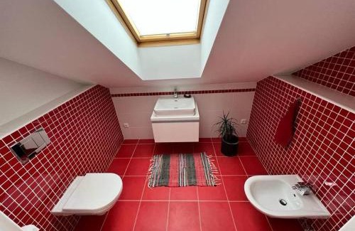 Mnichovice Villa | Great spacious villa near Prague