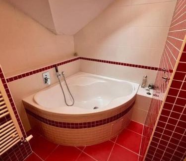 Mnichovice Villa | Great spacious villa near Prague