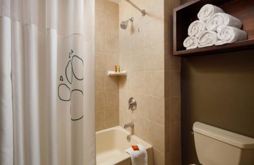Scotrun Cabin | Great Wolf Lodge Poconos