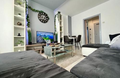 Debrecen Apartment | GreatForestSportAndSpaUniversityFlat