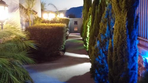Ma'ayan Baruch Cabin | Greek Relaxation