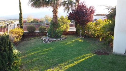 Ma'ayan Baruch Cabin | Greek Relaxation