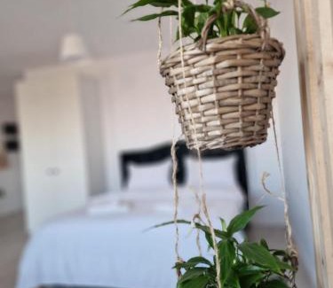 Iasi Apartment | Green Apartment Iasi