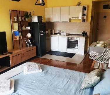 Subotica Apartment | Green Apple Apartment