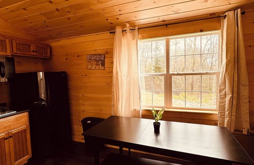 Surry Cabin | Green Cabin in Surry close to Acadia and Bar Harbor